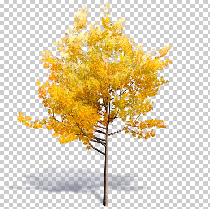 Tree Autodesk Revit Woody Plant Building Information Modeling PNG, Clipart, 3d Computer Graphics, Archicad, Artlantis, Autocad, Autocad Dxf Free PNG Download