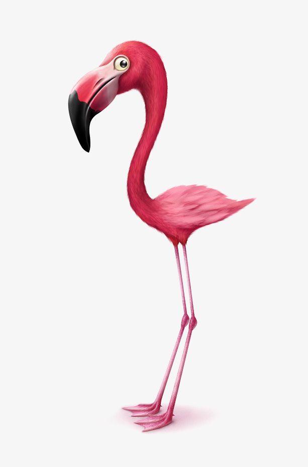 Hand-painted Flamingos PNG, Clipart, Animal, Animals In The Wild, Beak, Bird, Close Up Free PNG Download