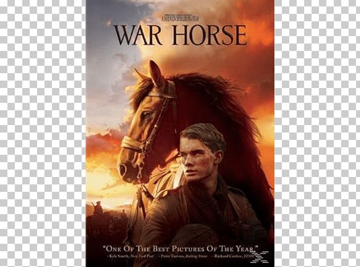 Horse Film Director DVD Cinema PNG, Clipart, Action Film, Album Cover, Animals, Cinema, Dvd Free PNG Download