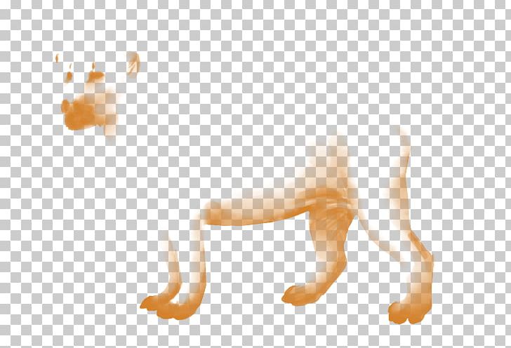 Lion Hyena Mane Cat Mammal PNG, Clipart, Animals, Arm, Carnivoran, Cat, Cat Like Mammal Free PNG Download