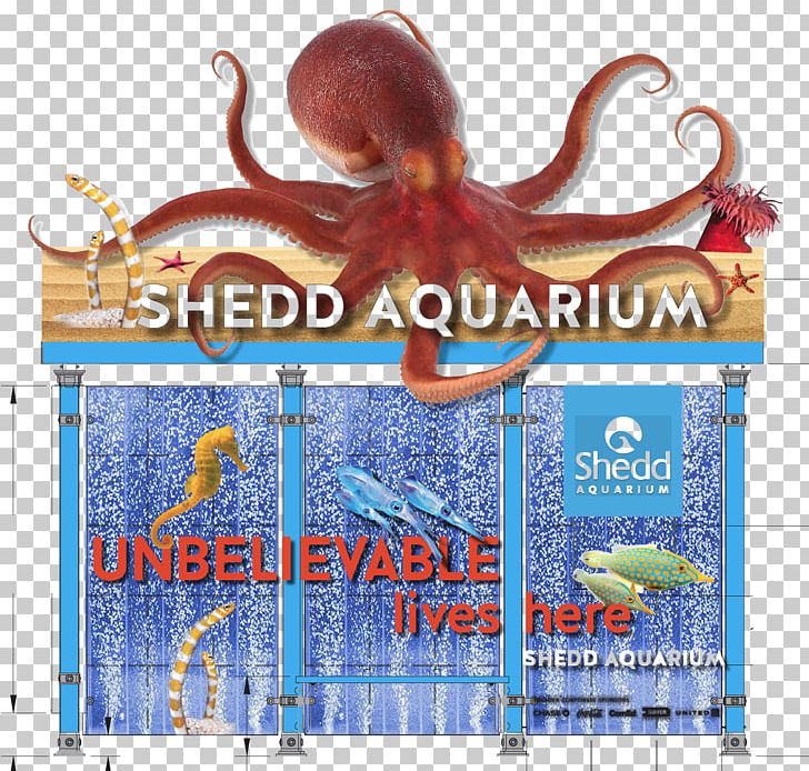 Octopus Shedd Aquarium Advertising Cephalopod PNG, Clipart, Advertising, Bus Shelter, Cephalopod, Invertebrate, Marine Invertebrates Free PNG Download