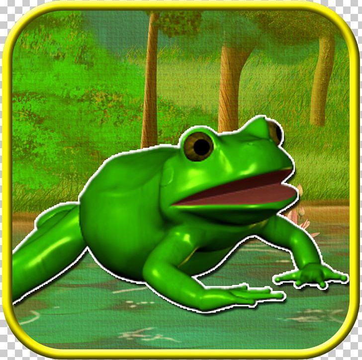 True Frog Tree Frog Toad PNG, Clipart, Adventure, Amphibian, Animals, Animated Cartoon, Fauna Free PNG Download