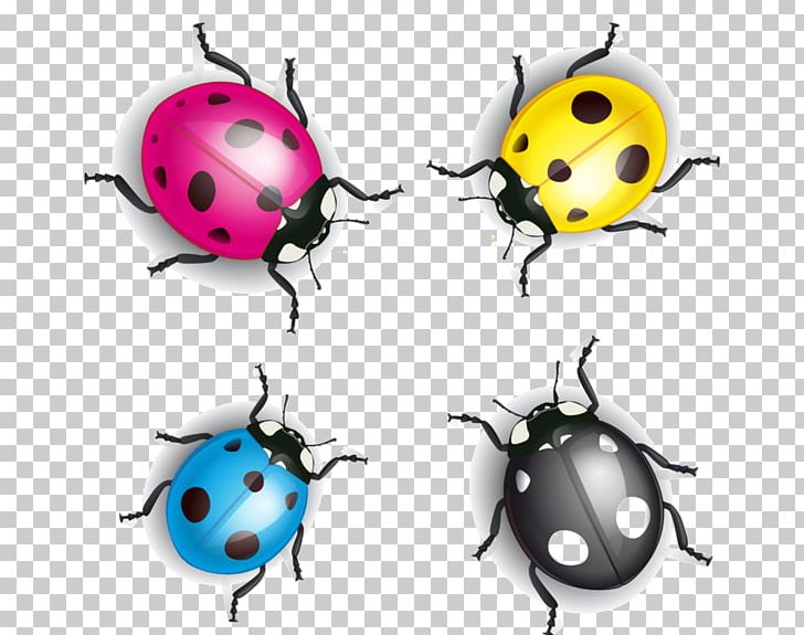 Coccinella Septempunctata Cartoon Ladybird Illustration PNG, Clipart, Advertising, Animals, Art, Beetle, Cartoon Free PNG Download