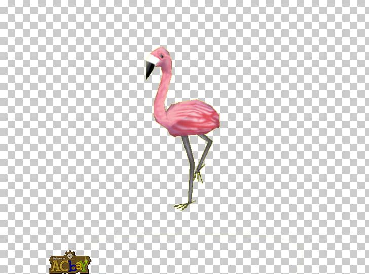 Crane Bird Pink M Beak Neck PNG, Clipart, Bbcode, Beak, Bird, Crane, Crane Like Bird Free PNG Download
