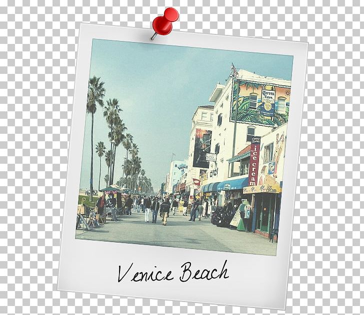 Santa Monica Malibu Long Beach WESTMINSTER DOG PARK Death Valley PNG, Clipart, Beach, California, Death Valley, Hotel, Long Beach Free PNG Download