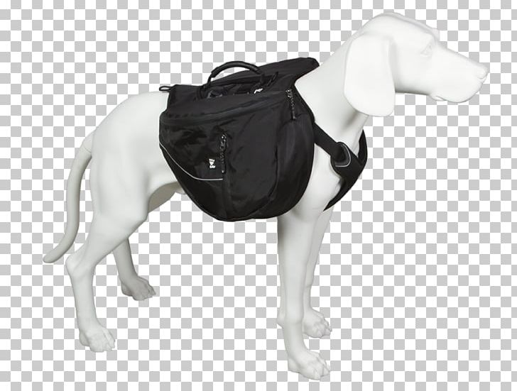 Dog Breed Backpack Trail Hiking PNG, Clipart, Animals, Backpack, Backpacking, Bag, Belt Free PNG Download