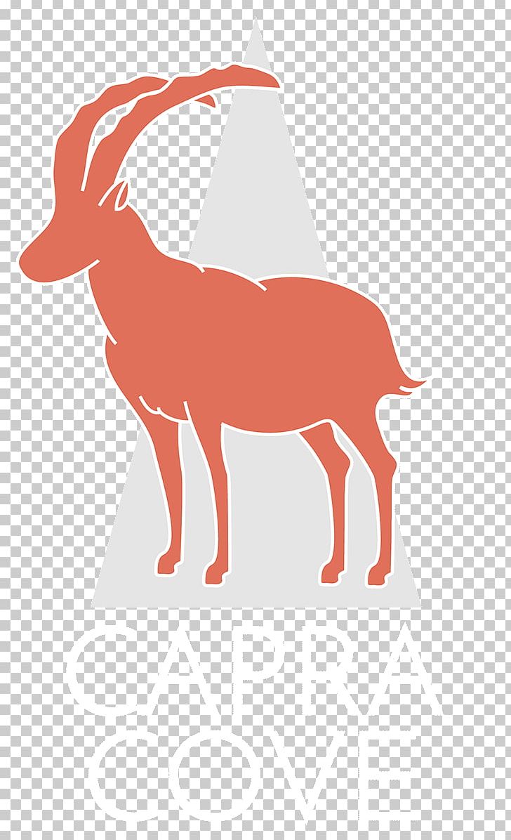 Dog Goat Cat Mammal Animal PNG, Clipart, 23 June, Animal, Animals, Art, Canidae Free PNG Download