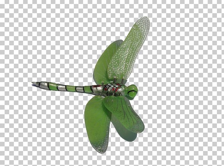 Dragonfly PNG, Clipart, Bluegreen, Clip Art, Document, Download, Dragonfly Free PNG Download