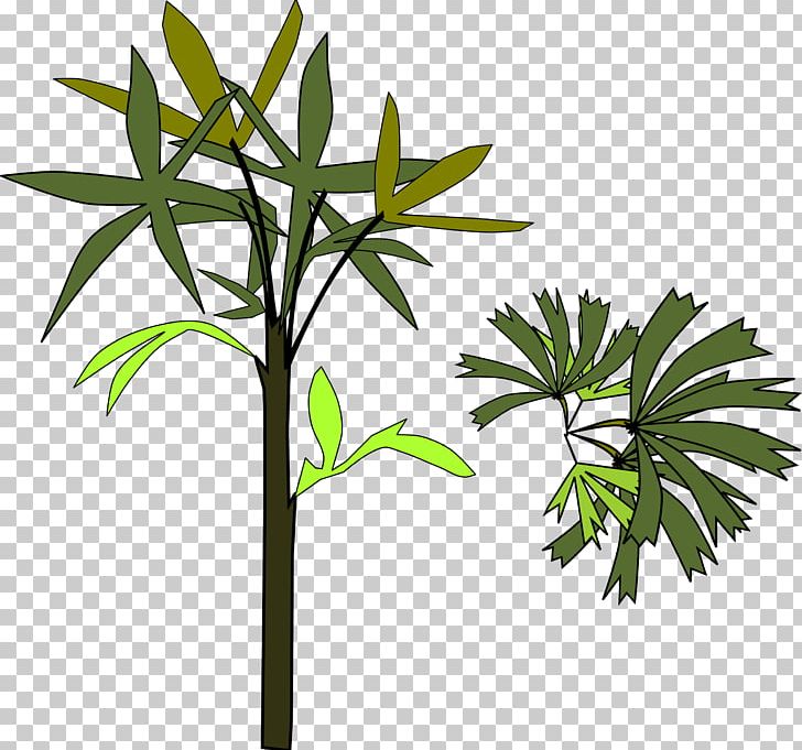 Leaf Branch Others PNG, Clipart, Arecaceae, Art, Branch, Drawing, Flora Free PNG Download