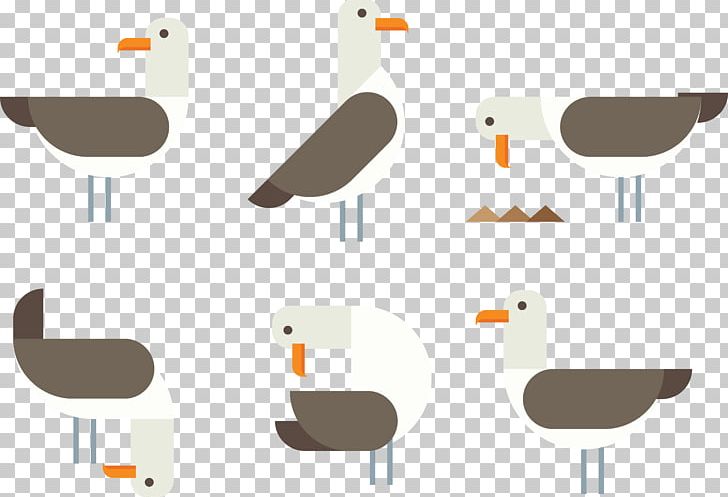 Water Bird PNG, Clipart, Adobe Illustrator, Albatross, Albatross Vector, Angle, Animal Free PNG Download