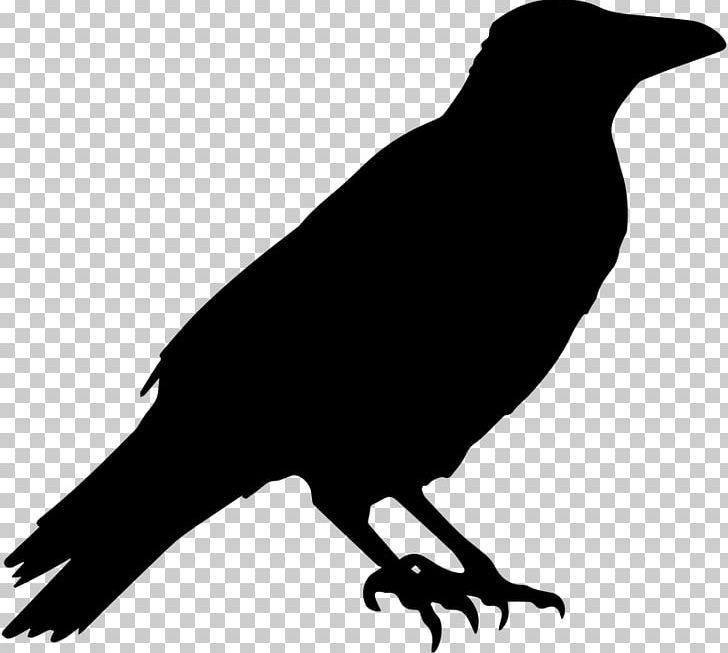 American Crow Silhouette Bird PNG, Clipart, American Crow, Art, Beak, Bird, Black And White Free PNG Download