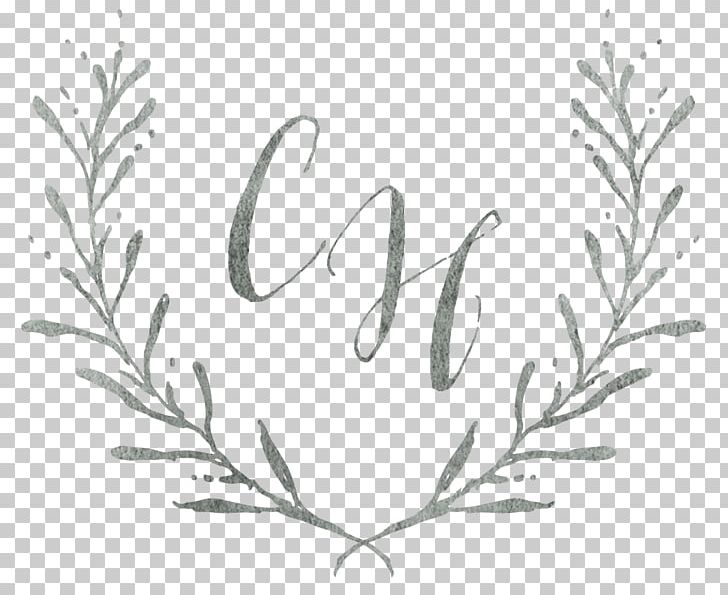 Cookeville Logo Photography Photographer Engagement PNG, Clipart, Area, Black And White, Bohochic, Branch, Business Free PNG Download