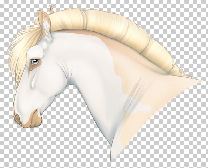Snout Mustang Pony Halter Mane PNG, Clipart,  Free PNG Download