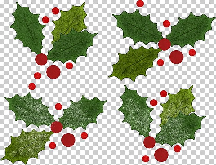 Creative Commons Christmas Ornament Wikimedia Commons Common Holly Share-alike PNG, Clipart, Aquifoliaceae, Aquifoliales, Attribution, Branch, Christmas Free PNG Download