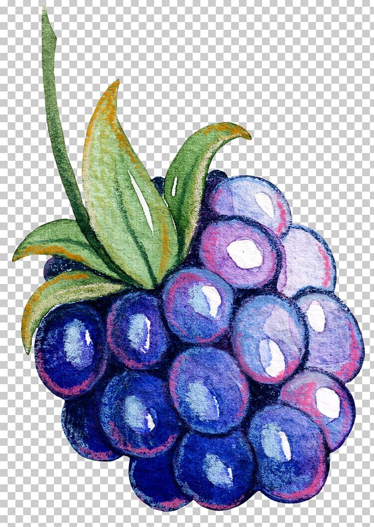 Grape Fruit Vegetable Auglis PNG, Clipart, Berry, Bilberry, Blueberry Tea, Bunch, Flower Free PNG Download