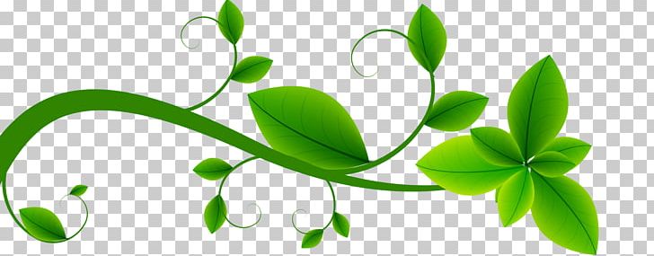 Leaf Green PNG, Clipart, Blue, Branch, Color, Encapsulated Postscript, Flora Free PNG Download