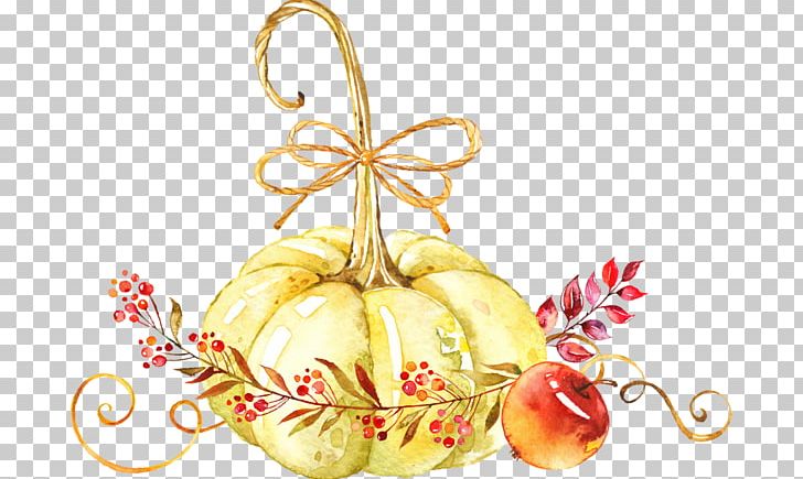 Pumpkins & Squashes Watercolor Painting Leaf PNG, Clipart, Apple, Autumn, Christmas Decoration, Christmas Ornament, Cucurbita Free PNG Download