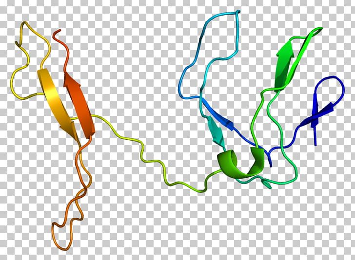 RELB Gene Protein NFKB1 Transcription Factor PNG, Clipart, Area, Artwork, Exon, Gene, Gene Expression Free PNG Download