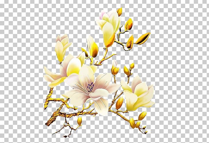 White Flower Orchids PNG, Clipart, Branch, Computer Software, Cut Flowers, Designer, Download Free PNG Download