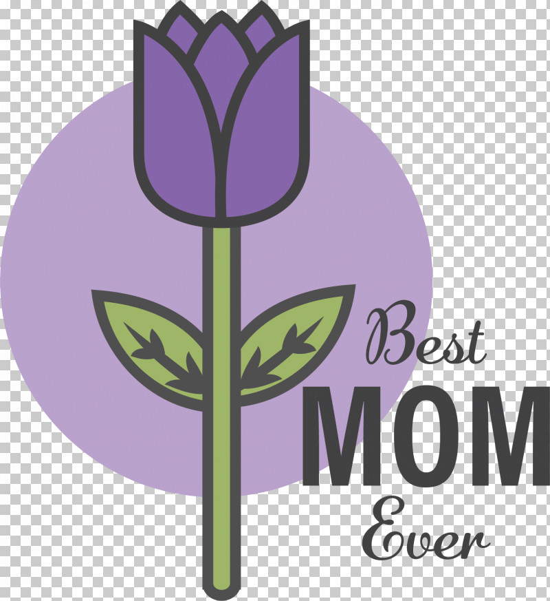 Floral Design PNG, Clipart, Crocus, Crocus Flavus, Crocus Vernus, Floral Design, Flower Free PNG Download