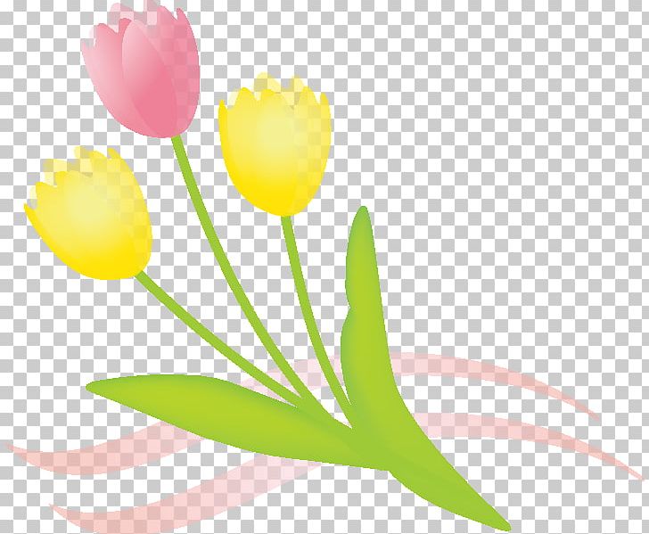Cut Flowers Tulip Floral Design Floristry PNG, Clipart, Chamomile, Computer Wallpaper, Cut Flowers, Floral Design, Floristry Free PNG Download