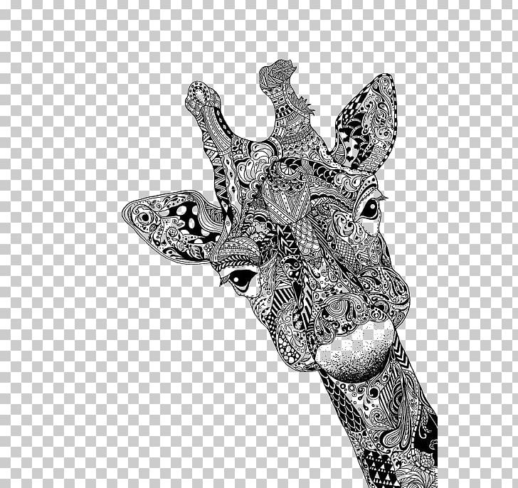 Deer Giraffe Drawing Animal Sketch PNG, Clipart, Abstract Lines, Animals, Art, Black, Black Background Free PNG Download