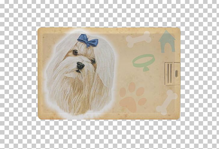 Dog Breed Havanese Dog Puppy Maltese Dog Pug PNG, Clipart, Animals, Boxer, Breed, Carnivoran, Dachshund Free PNG Download
