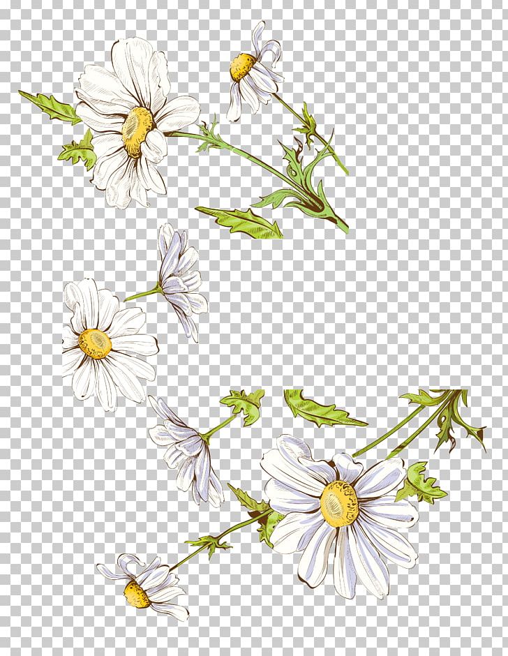 Drawing Illustration PNG, Clipart, Branch, Daisy Family, Floral, Floral Vector, Flower Free PNG Download