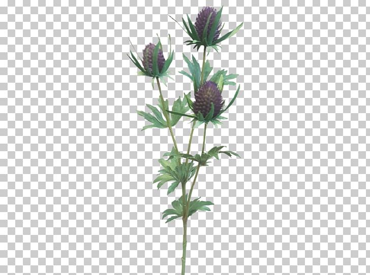 Flowerpot Tree Plant Stem Flowering Plant PNG, Clipart, Flower, Flowering Plant, Flowerpot, Plant, Plants Free PNG Download