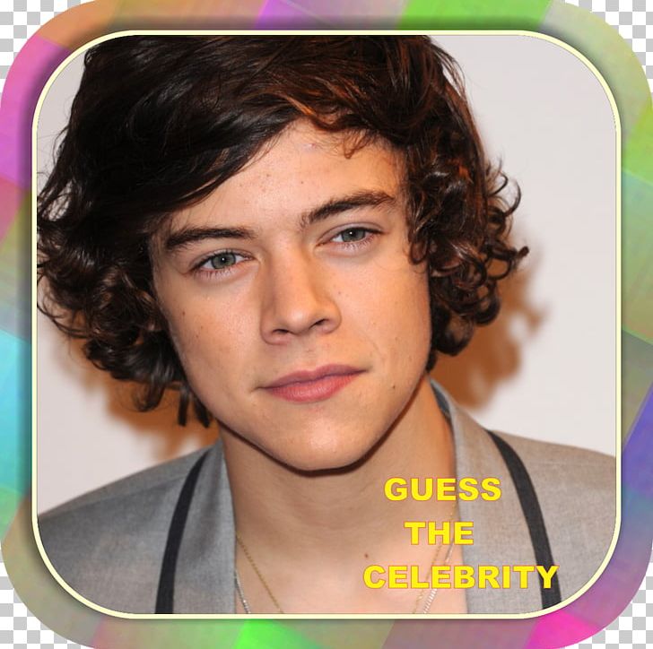 Harry Styles One Direction Celebrity United Kingdom PNG, Clipart, Black Hair, Brown Hair, Celebrity, Chin, Fandom Free PNG Download