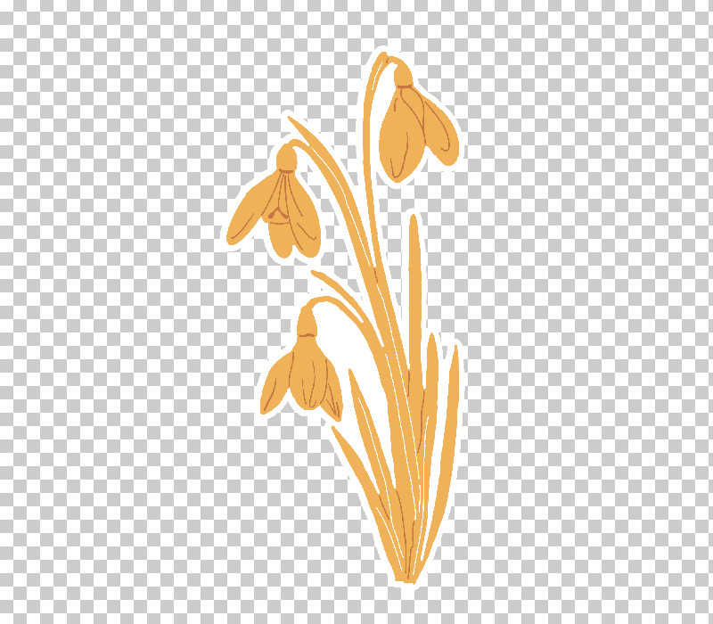 Leaf Plant Flower PNG, Clipart, Flower, Leaf, Plant Free PNG Download