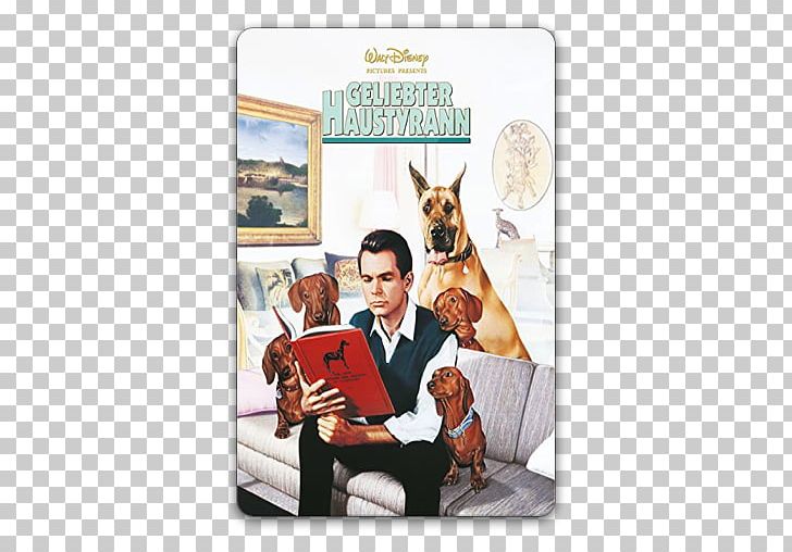 Dachshund Basset Hound Great Dane Fran Garrison Film PNG, Clipart, Basset Hound, Dachshund, Dean Jones, Dog, Dog Like Mammal Free PNG Download