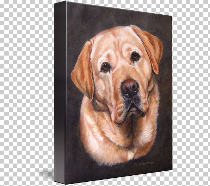 Labrador Retriever Golden Retriever Puppy Broholmer Dog Breed PNG, Clipart, Art, Broholmer, Canvas, Canvas Print, Carnivoran Free PNG Download