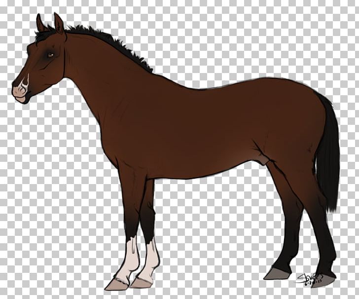 The Sims 3: Pets Nez Perce Horse Appaloosa Akhal-Teke The Sims 3 Stuff Packs PNG, Clipart, Akhalteke, Animal Figure, Appaloosa, Breed, Bridle Free PNG Download