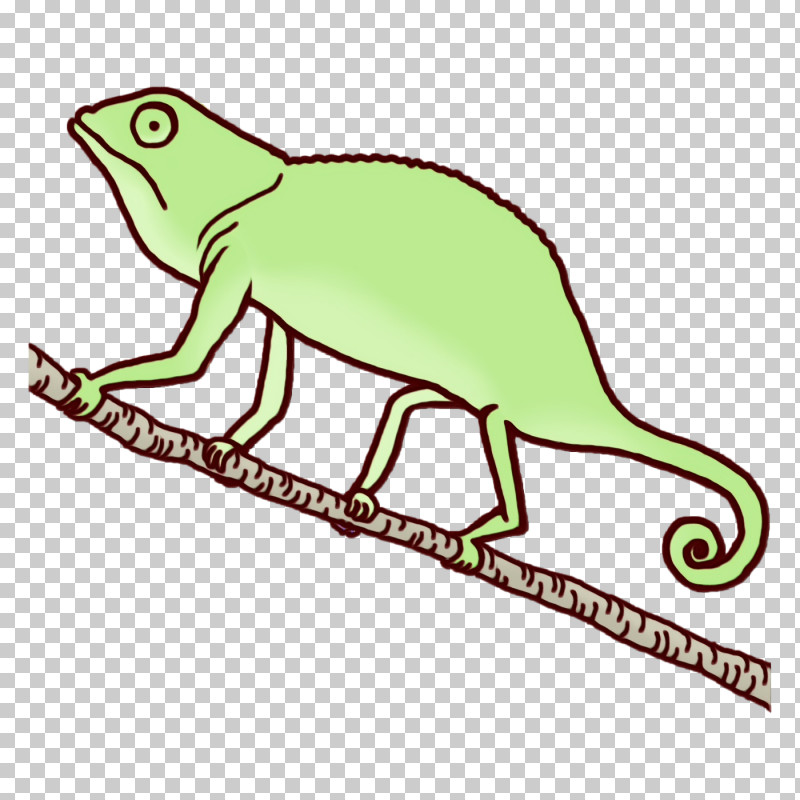 Reptiles Amphibians Line Art Meter Area PNG, Clipart, Amphibians, Area, Beak, Biology, Line Free PNG Download