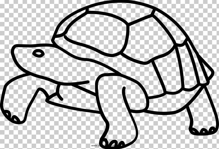 Galápagos Islands Tortoise Turtle Drawing PNG, Clipart, Animal, Animals, Area, Artwork, Black And White Free PNG Download