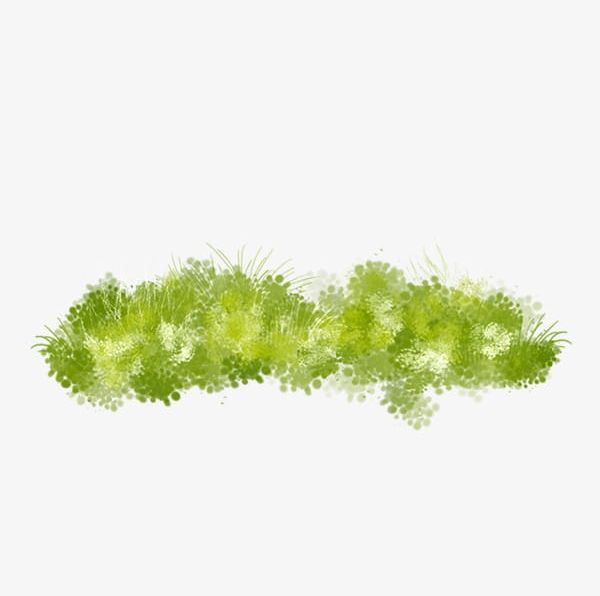 Hand-painted Grass PNG, Clipart, Branch, Cartoon, Color, Download, Encapsulated Postscript Free PNG Download