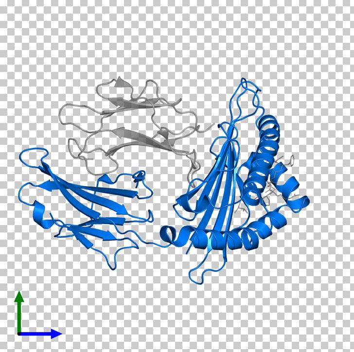 MAGEA4 Human Leukocyte Antigen HLA-A*02 Protein PNG, Clipart, Angle, Area, Art, Artwork, Assembly Free PNG Download