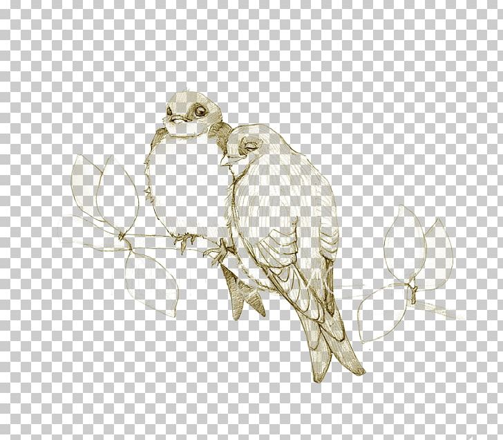 Owl Lovebird Drawing Sketch PNG, Clipart, Animals, Art, Artwork, Beak, Bird Free PNG Download