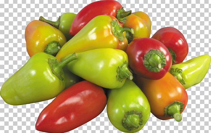 Pepper PNG, Clipart, Pepper Free PNG Download