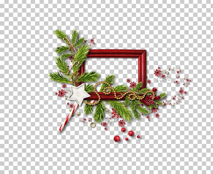 Christmas PNG, Clipart, Aquifoliaceae, Aquifoliales, Christmas, Christmas Decoration, Christmas Ornament Free PNG Download