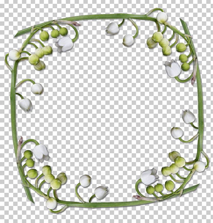 Frames Lily Of The Valley PNG, Clipart, Body Jewelry, Circle, Computer Graphics, Download, Film Frame Free PNG Download