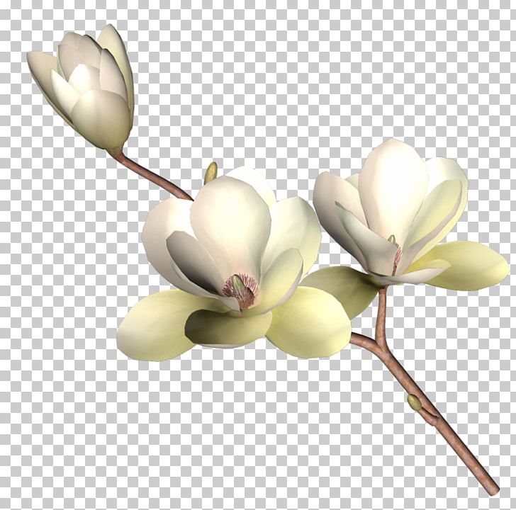 Drawing PNG, Clipart, Art, Branch, Encapsulated Postscript, Flower, Flower Plants Free PNG Download