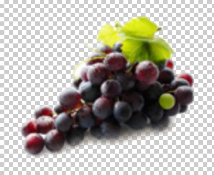 Grape Sultana Organic Food Extract Health PNG, Clipart, Bilberry, Blueberry, Extract, Food, Fruit Free PNG Download