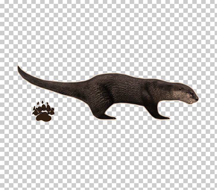 Zoo Tycoon 2 Sea Otter PNG, Clipart, Animal, Animal Figure, Carnivoran, Dinosaur, Download Free PNG Download