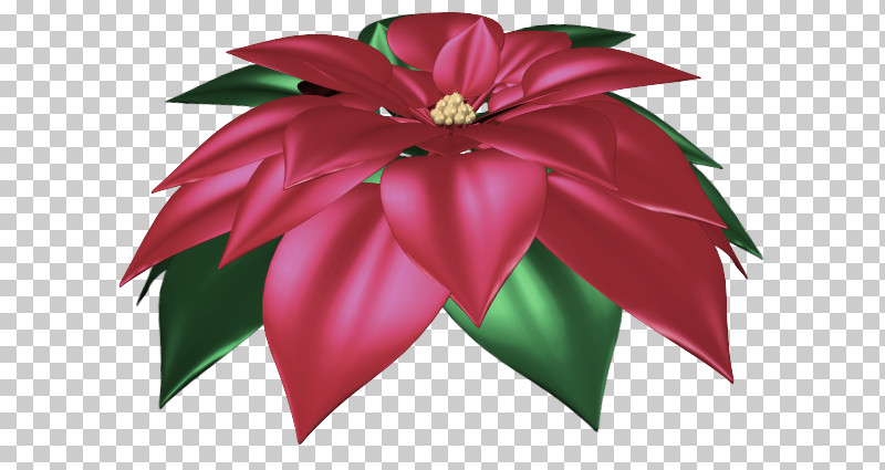 Cut Flowers Flower Poinsettia Petal Flora PNG, Clipart, Cut Flowers, Flora, Flower, Magenta Telekom, Petal Free PNG Download