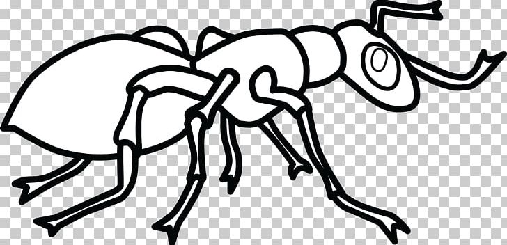 Ant Colony Coloring Book Hey PNG, Clipart, Ant, Ant Colony, Ants, Area, Art Free PNG Download
