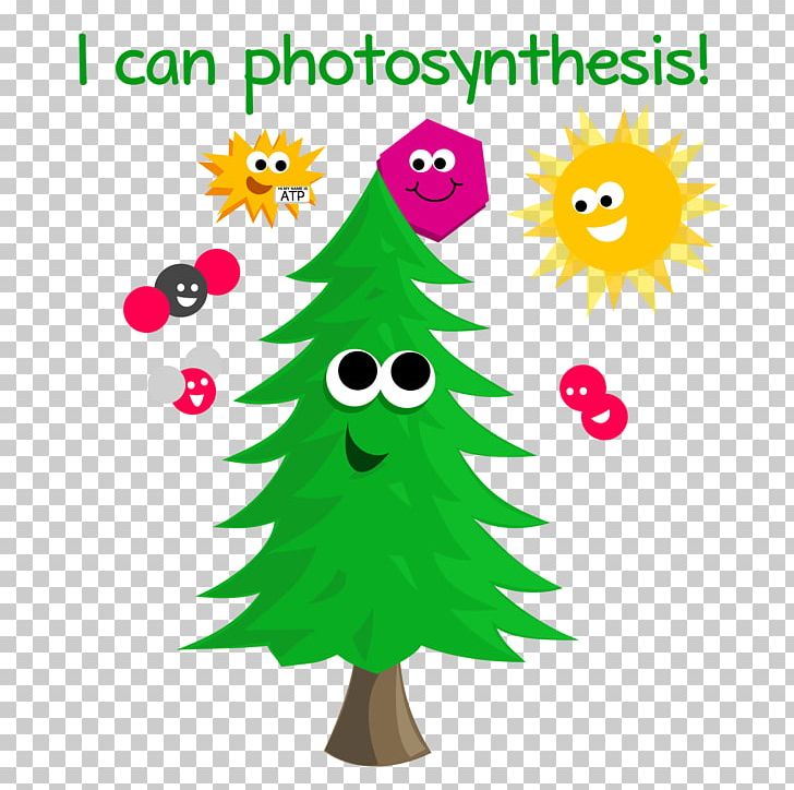 Autotroph Photosynthesis Energy Biology Light PNG, Clipart, Area, Artwork, Autotroph, Biology, Calvin Cycle Free PNG Download