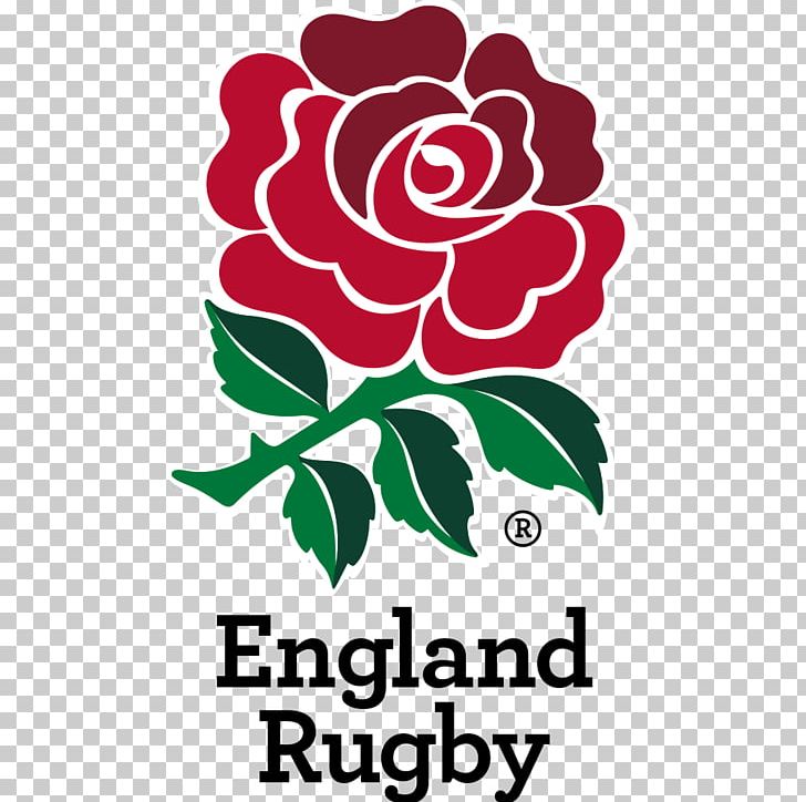 England National Rugby Union Team Six Nations Championship Irish Rugby Scotland National Rugby Union Team PNG, Clipart, Artwork, Cut Flowers, England, Floral Design, Flori Free PNG Download