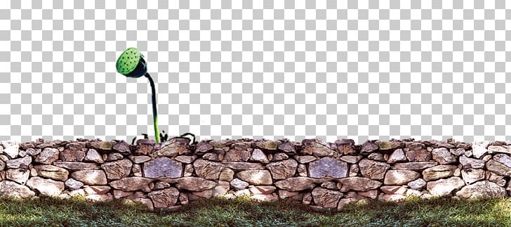 Stone Wall PNG, Clipart, Adobe Illustrator, Branch, Chemical Element, Download, Element Free PNG Download
